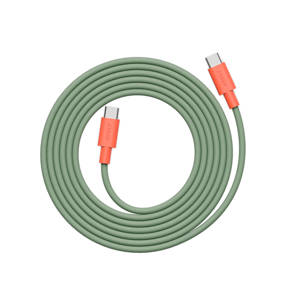 Cable 1 (USB C - USB C) - Gecko Bloom - Avolt